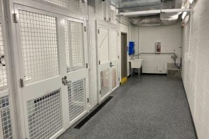 Jail-3-min